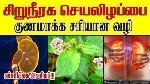 'சிறுநீரக செயலிழப்பு குணமாக சரியான வழி |Treatment of Kidney Failure | Kidney Disease | Home Remedies'