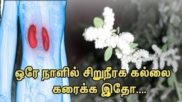 'How to pass a kidney Stone in Tamil |Kidney Stone Natural Remedy ..||'