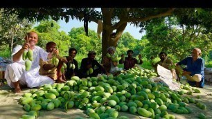 'World Famous Pakistani Mangoes | Mangoes Harvesting | Mango Farming Multan | Mubashir Saddique'