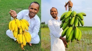 'Banana Ripening 