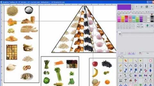 'Food Pyramid - Meeting Science Core Standards with Graphics Toolbox Grades K-5'