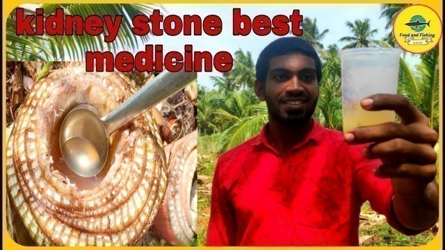 'Banana Stem Juice | Live Extraction | Best Medicine For Kidney Stone | Valaithandu Juice |Stem Juice'