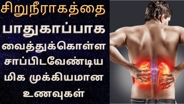 'கிட்னியை பாதுகாக்கும் உணவுகள் | Top Good Foods for Kidney | Best Kidney Friendly Foods in Tamil'