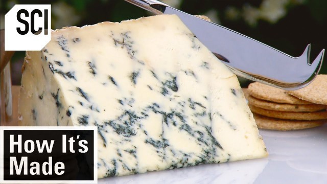 'How It\'s Made: Blue Stilton Cheese'