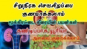 'Kidney failure home remedies Tamil  / kidney stone home remedies'