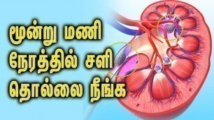 'Symptoms of kidney stone problem - Tamil Health Tips'