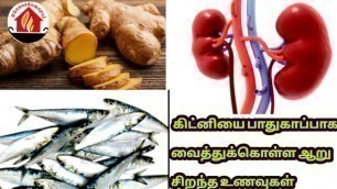 'Top 6 Best Foods For Kidney In Tamil/Best Foods For Kidney In Tamil/Healthtips/Kidney Disease Tamil'