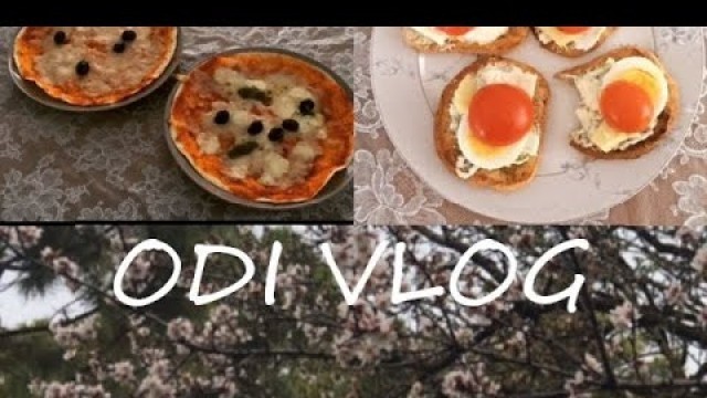 'Vlog- Making Beeswax Food Wrap / Easy Pizza / Simple Lunch'