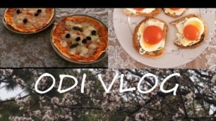 'Vlog- Making Beeswax Food Wrap / Easy Pizza / Simple Lunch'