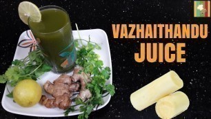 'Vazhaithandu Juice For Kidney Stone | Banana Stem Juice in Tamil | வாழைத்தண்டு ஜூஸ்'