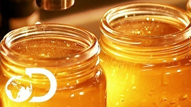 'HONEY | How It\'s Made'