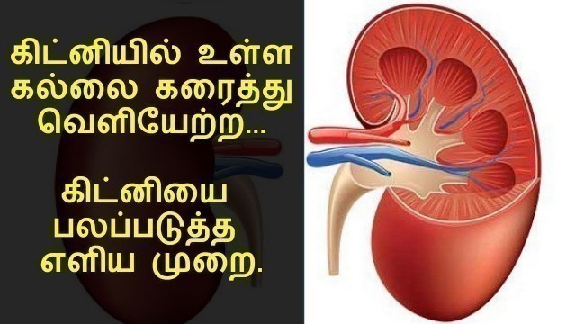 'கிட்னி கல் எளிதாக கரைத்து வெளியேற்ற | kidney stone removal home remedy in tamil'