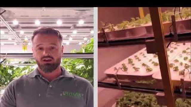 'Food Matters | Hydroponics | 09 June 2020'