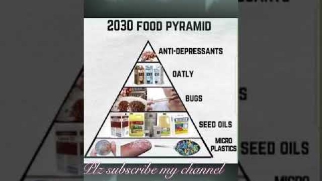 '2030 Food Pyramid'