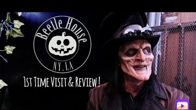 'FIRST TIME visit to BEETLE HOUSE LA! Food, shows & more | W Hollywood Hotel | A MUST SEE!'