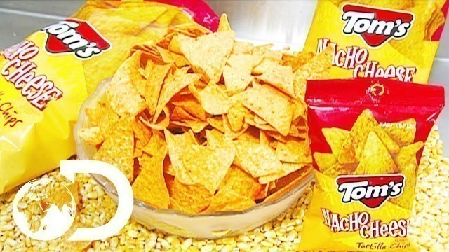 'TORTILLA CHIPS | How It\'s Made'