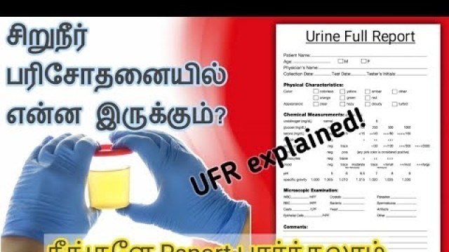 'சிறுநீர்ப்பரிசோதனை/Urine Full Report in Tamil/kidney pain location on body in tamil/kidney failure'