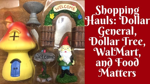 'Shopping Hauls: Dollar General, Food Matters, WalMart, and Dollar Tree'