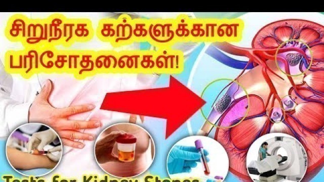 'Kidney stone tests in Tamil/Kidney stone symptoms in Tamil/kidney failure symptoms in tamil'