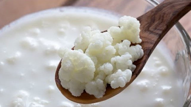 'How to Make Coconut Water and Milk Kefir with Donna Gates'