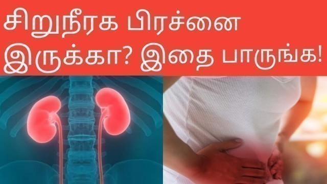 'சிறுநீரக பிரெச்சனைகளுக்கு எளிய தீர்வு  | Natural Foods That Cure Kidney Problems | Tamil Zone'