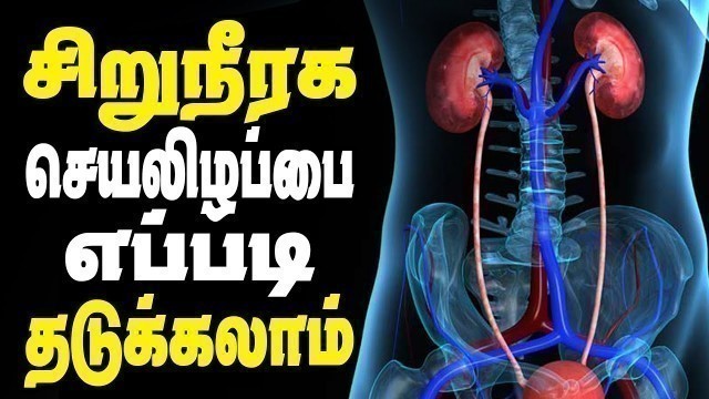 'How to prevent kidney failure and kidney stones in a natural way In Tamil'