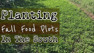 'Planting Fall Food Plots in the South'