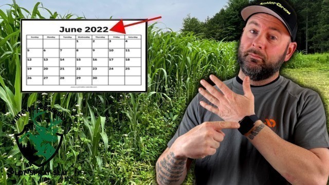 'When To Plant Egyptian Wheat Food Plot Screening?'