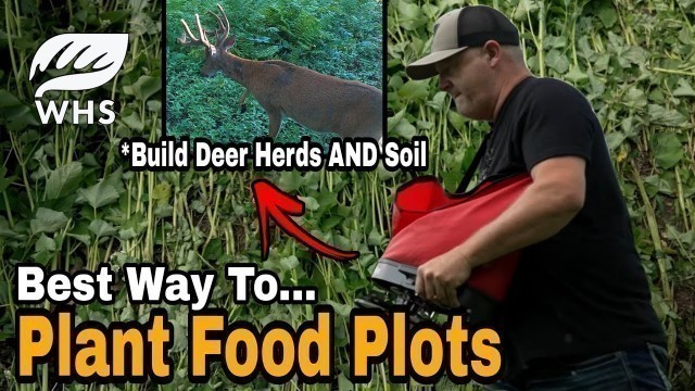 'Best Way To Plant Food Plots'