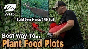 'Best Way To Plant Food Plots'