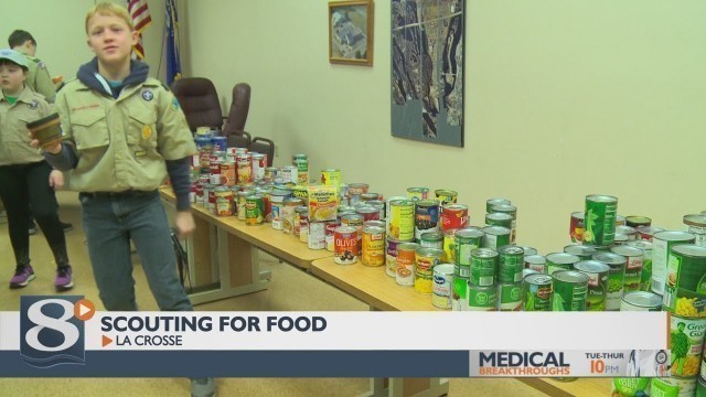 'Local boy scouts \'Scout for Food\' for those in need'