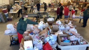 'Boy Scout Food Drive'