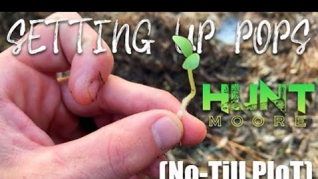 'Hunt Moore | PLANTING a no-till FOOD PLOT'