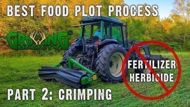 'No Fertilizer, No Herbicide | The Best Food Plot Process, Part 2 (707)'