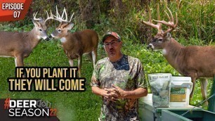 'The Four MOST IMPORTANT Steps To Growing The Perfect Green Plot With Mark Drury | Deer Season \'22'