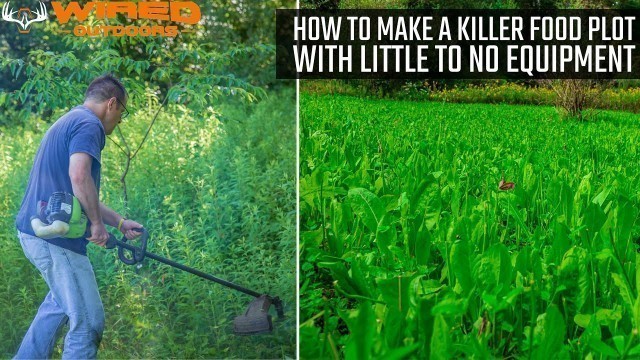 'How To Make A Killer Food Plot With Little To No Equipment'