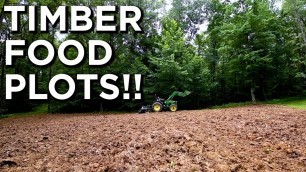 'Creating Timber Food Plots | What Is BEST To Plant?!'