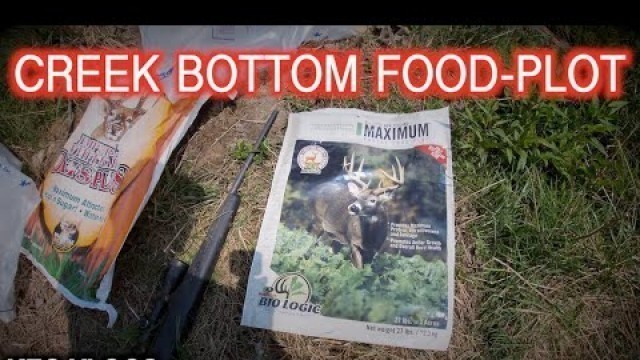 'Creek Bottom Food-Plot'