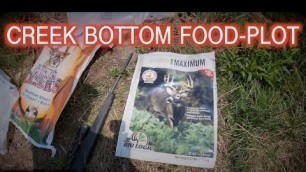 'Creek Bottom Food-Plot'