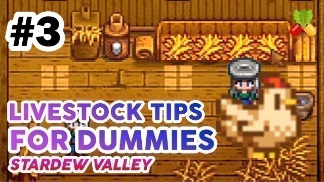 'Raising Chicken Tips FREE FOOD | Stardew Valley Indonesia'