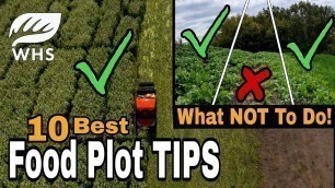 '10 Critical Food Plot Planting Tips'