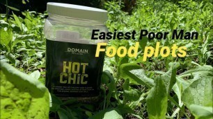 'Easiest Poor Man Food Plot! || Minimal Steps Required!!'