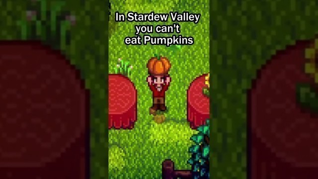 'Food in Stardew Valley Makes No Sense...'