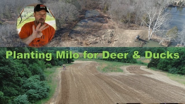 'Planting Milo food plot grain sorghum for deer & waterfowl. Memorial Day in the outdoors!'