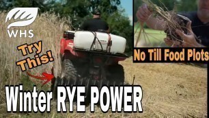 'No Till Winter Rye Food Plots'