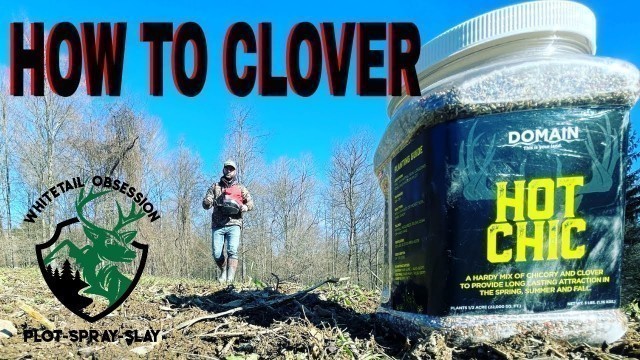 'How To Plant A Clover Food Plot!'