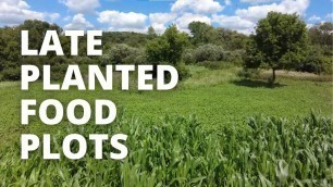 'It\'s Not Too Late To Save or Plant A Food Plot'