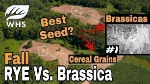 '#1 Food Plot Seed For Deer'