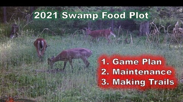 '2021 Swamp Food Plot - Game Plan, Maintenance & Making Trails'