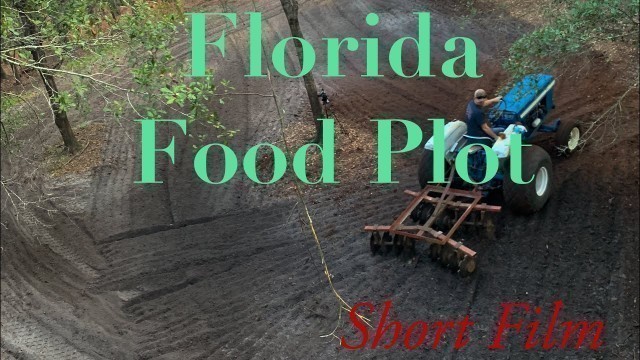 'FoodPlot Florida | Short Film'